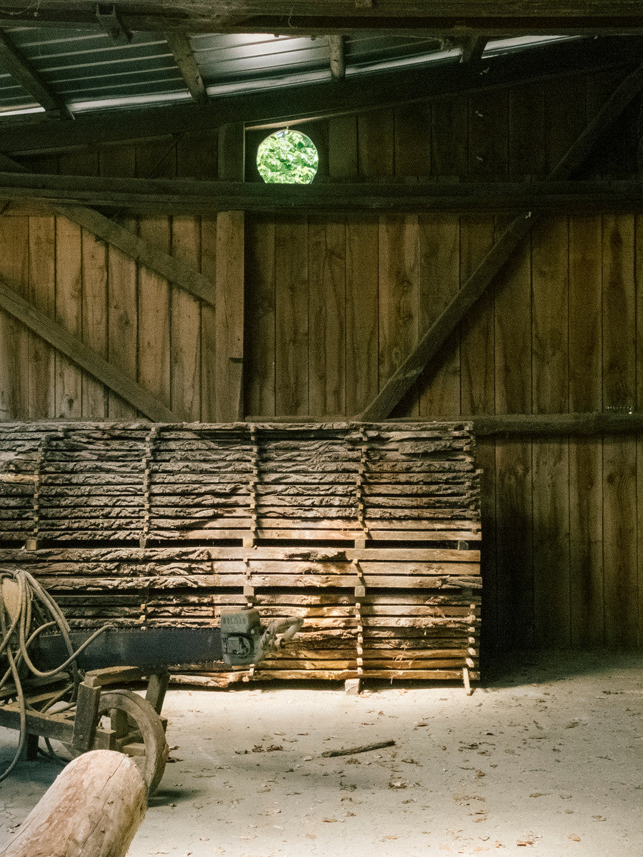 THIS IS NOT A FOREST