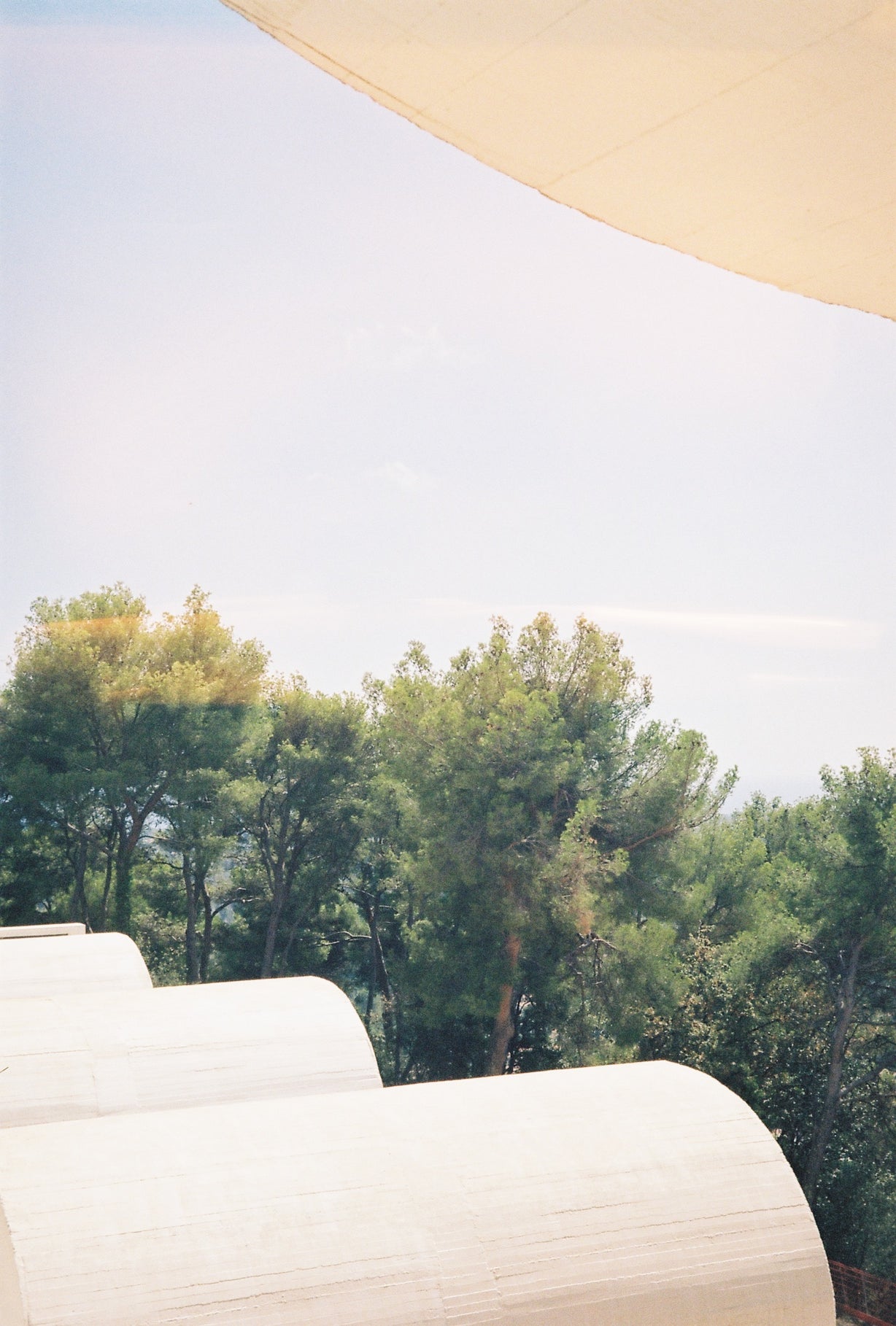 FROM ARCHITECTURE TO FRAGRANCE